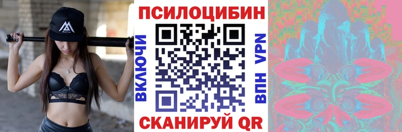 Галлюциногенные грибы Psilocybine cubensis  где купить наркотик  KRAKEN   Сенгилей 